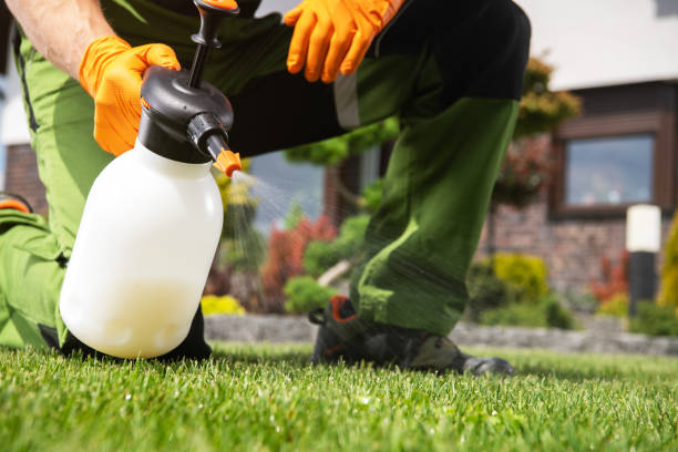 Best Residential Pest Control  in Frazeysburg, OH