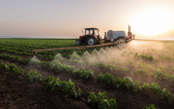 Best Pest Removal Services  in Frazeysburg, OH