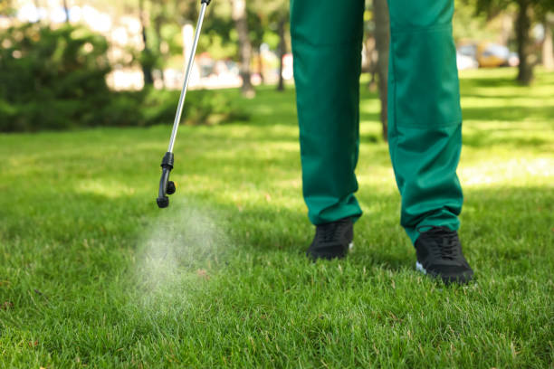 Best Bird Control  in Frazeysburg, OH