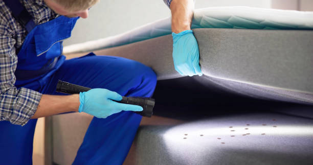 Best Affordable Pest Control Services  in Frazeysburg, OH