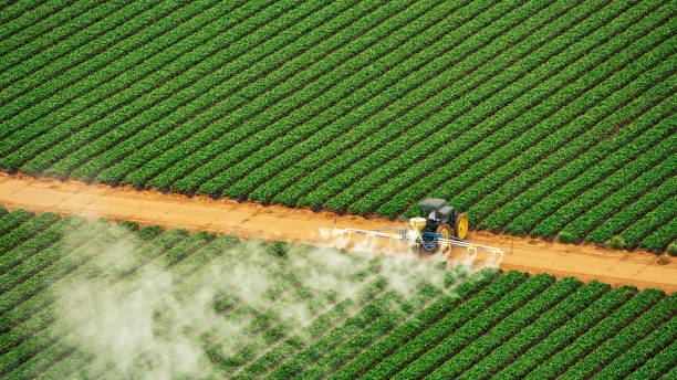 Best Pest Inspection Near Me  in Frazeysburg, OH