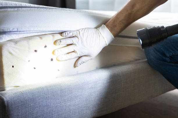 Professional Pest Control in Frazeysburg, OH