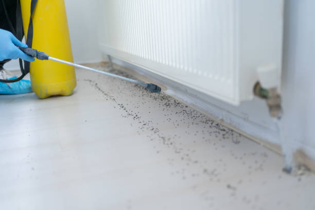 Best Best Pest Control Companies  in Frazeysburg, OH